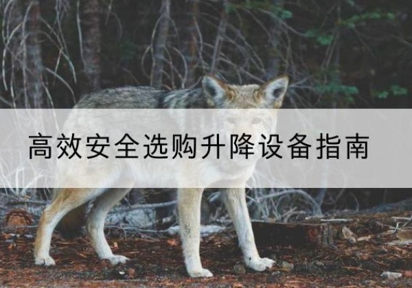 化州升降货梯厂家推荐-*安全选购升降设备指南