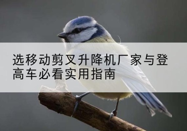 化州电动升降机厂家-选移动剪叉升降机厂家与登高车必看实用指南