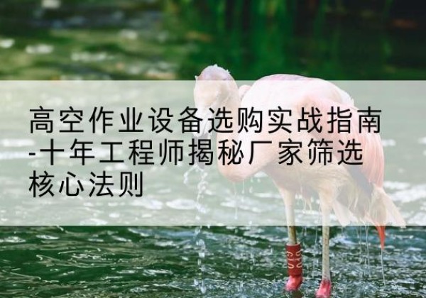 化州剪叉式升降机厂家-高空作业设备选购实战指南-十年工程师揭秘厂家筛选核心法则